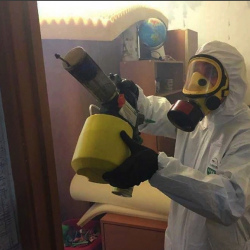 Уничтожение клопов в квартире. Самара